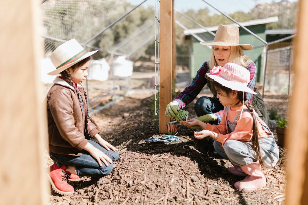 What Do Preschool Children Gain From Farm-Themed Activities? - preschool - Montessori Fremont